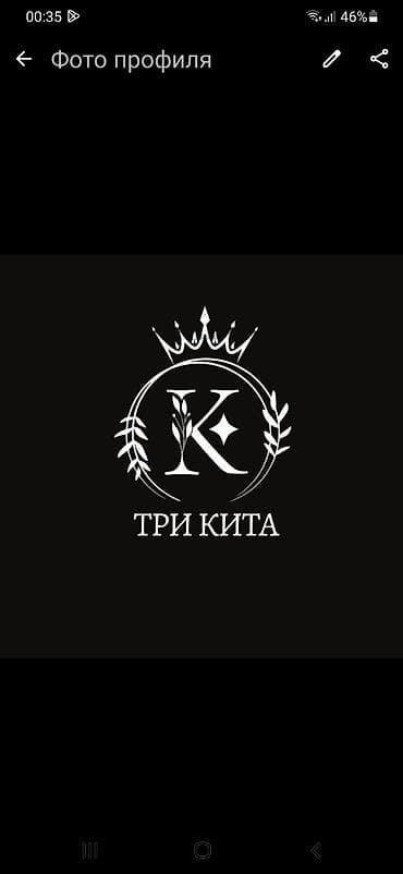 сауна дельфин: Сауна «Три Кита» — уютный комплекс для отдыха компанией. Что внутри — 1