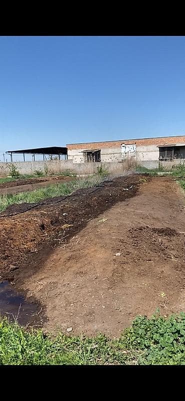 диваны 3 2 1: Удобрение Гумус — 3