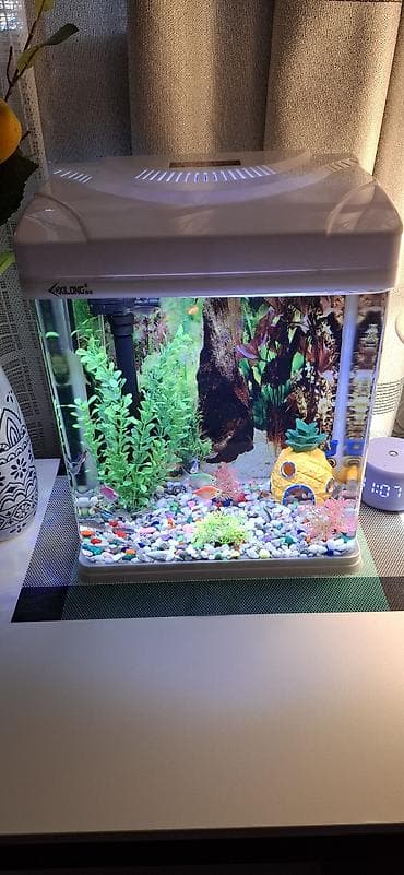 сколько стоит аквариум с рыбками: Настольный аквариум с оборудованием Xilong 22 литра. ПРОДАЕМ БЕЗ РЫБОК — 1