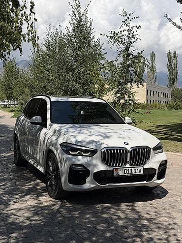 электромобиль byd e2: BMW X5: 2019 г., 3 л, Автомат, Бензин, Кроссовер — 4