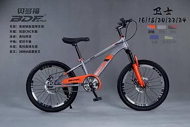 6 мес: Подростковый велосипед — 5