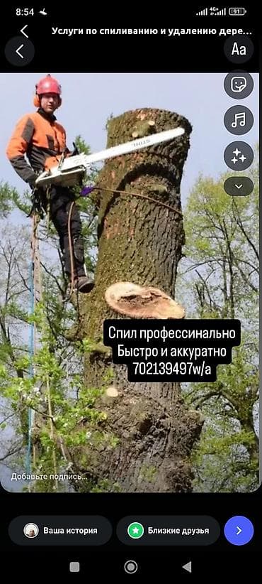 Резка: Профессиональные услуги по спилу и удалению деревьев. - Арбористские — 1