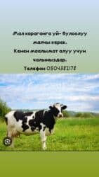 полироль авто: Требуется сотрудник, Оплата Ежемесячно — 1