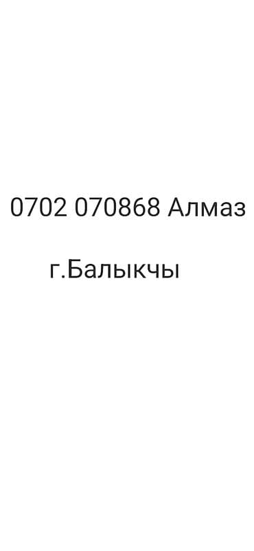 продаю птиц: Продаю | Овца (самка) | Полукровка | Для разведения | Матка — 5