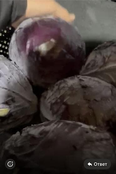 ящик для овощей: Фиолетовая капуста с холодильника! Хранение в ящиках есть обьем! — 2