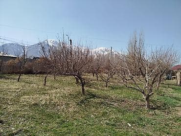 Продается участок. 5.50соток. Центральная улица. Садик, школа, мечеть