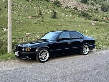 ручка е34: BMW 5 series: 1992 г., 2.5 л, Механика, Бензин, Седан — 2