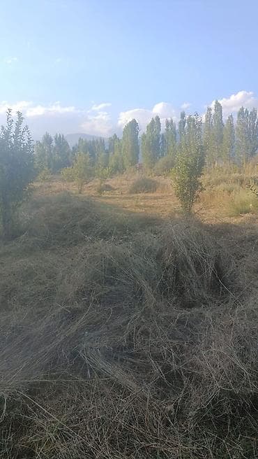 50 соток, Айыл чарба үчүн — 2