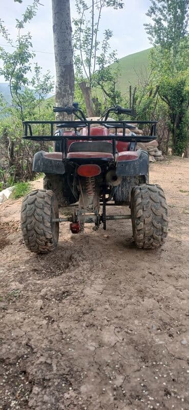 домкрат для машины цена: Квадроцикл Бензин, 180 куб. см, Взрослый — 2