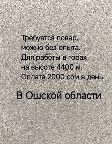Вакансиялар: Вакансия: повар (можно без опыта). Работы не много, главное нужен — 1