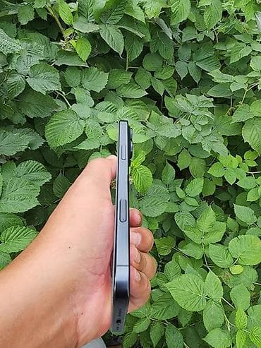 стиральная машинка б: IPhone 16 Pro Max, Б/у, 256 ГБ, Графит, Коробка, 85 % — 6
