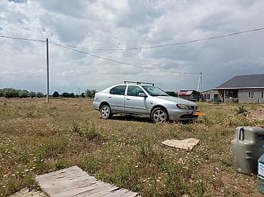 кассеты аудио: Nissan Almera: 2000 г., 1.6 л, Механика, Бензин, Седан — 7