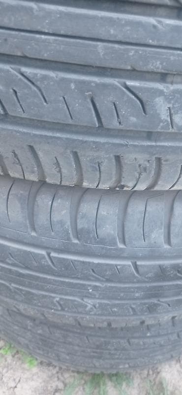 65: Шины 265 / 65 / R 17, Лето, Комплект, Внедорожные (АТ/МТ), Dunlop — 2