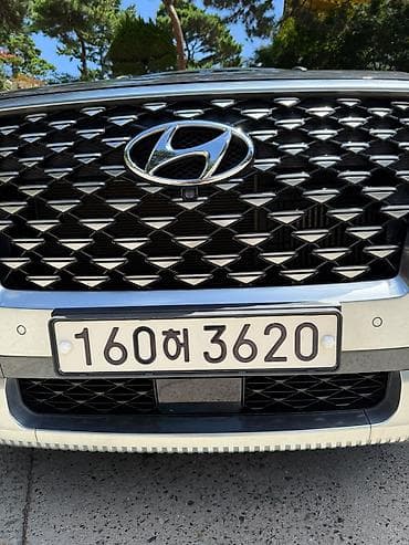 900: Hyundai Palisade: 2021 г., 2.2 л, Автомат, Дизель, Внедорожник — 9