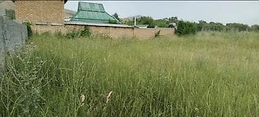 заречн: 6 соток, Для строительства, Красная книга — 5