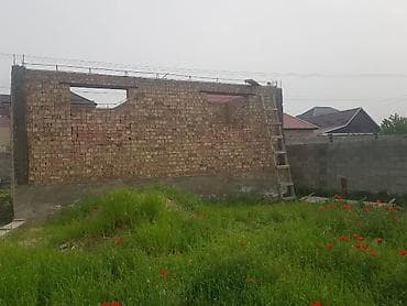 чокморова молодая гвардия: 5 соток, Красная книга, Договор купли-продажи — 2