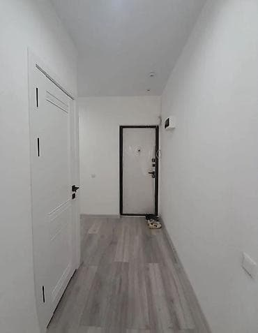 1 комната, 45 м², 106 серия, 1 этаж, Евроремонт — 4