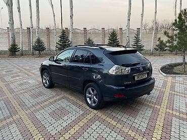 fj cruser: Lexus RX: 2004 г., 3.3 л, Автомат, Бензин, Кроссовер — 4