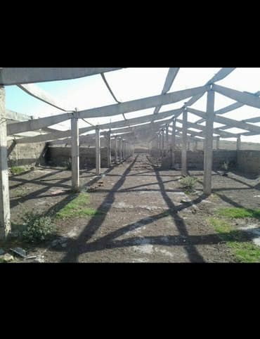 люстры ош: Продам бетонные лаги в городе Ош — 9