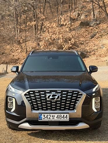 Hyundai Palisade: 2019 г., 2.2 л, Автомат, Дизель, Кроссовер