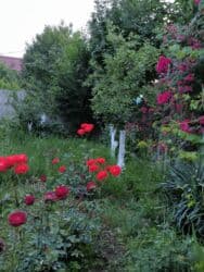 бишкек продаю дом село дордой 2: Дом, 1441 м², 12 комнат, Собственник — 35