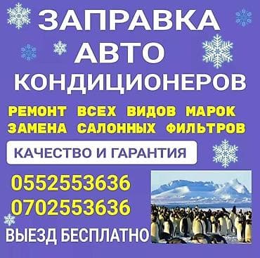 iphone cs: С выездом — 1