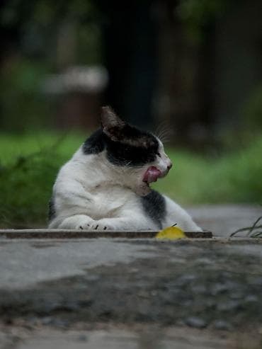 фотоаппарат nikon 5200: Nikon D3200 В отличном состоянии В комплекте штатив сумка кардридер — 5