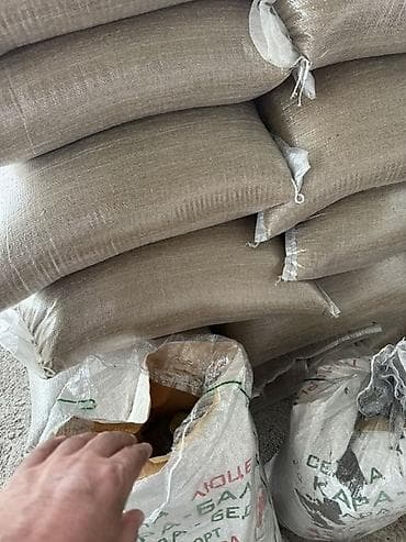 цена кукуруза: Семена люцерны кара беде Описание: - Мелкосемянный посевной материал — 4