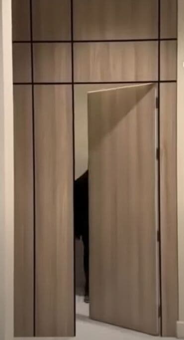 бу шкафы для кухни: Шкаф для раздевалки, Новый, ЛДСП, Бесплатная доставка — 10