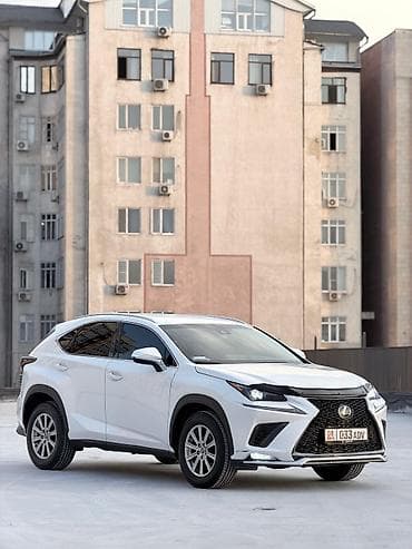 Lexus: Lexus NX: 2019 г., 2 л, Автомат, Бензин, Кроссовер — 2