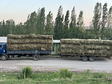 jak авто: Грузовик, Mercedes-Benz, Стандарт, 7 т, Б/у — 5
