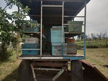 продажа домашних животных: Продаю пчелопавильон улики рассчитан на 40 -50 корп семей сделан — 9