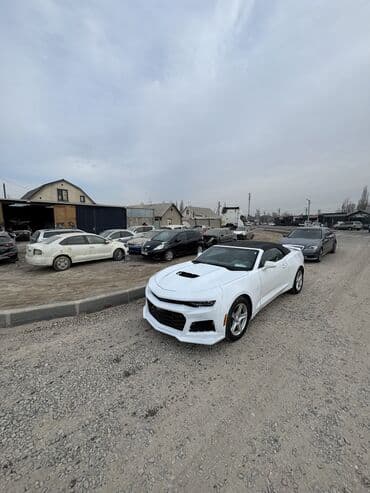 авто маляршик: Требуется Автомаляр - Подготовщик, Процент от дохода, Менее года опыта, Питание — 2