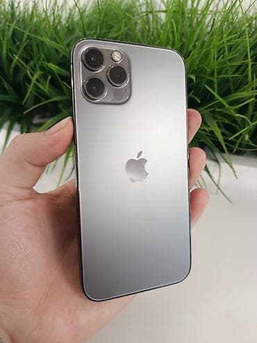 IPhone 12 Pro, Б/у, 256 ГБ, Серебристый, Кабель, 79 %