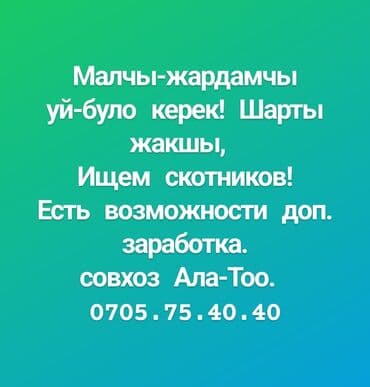 охрана ночная смена: Требуется Пастух, Оплата Ежемесячно — 1