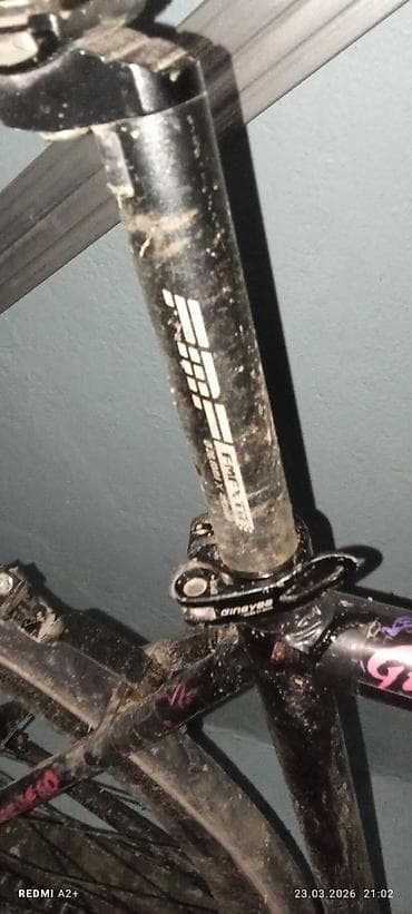 Детские велосипеды: Городской велосипед, Рама L (172 - 185 см) — 2