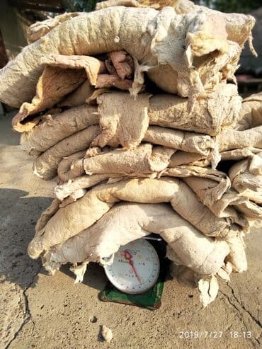 промышленные швейные машины в рассрочку: Скупка старых ватных матрас көрпө төшөк подушки перину вата пахта пух — 3