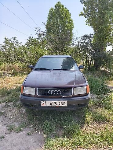 colf 2: Audi 100: 1992 г., 2.3 л, Механика, Бензин, Универсал — 1
