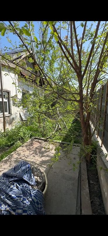 Кыймылсыз мүлк: 5 соток, Кызыл китеп — 3