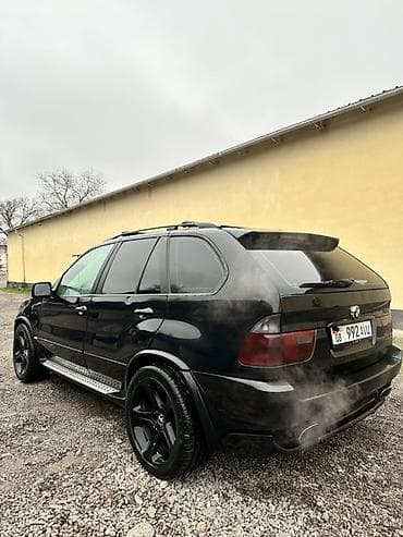 BMW: BMW X5: 2003 г., 4.6 л, Автомат, Бензин, Внедорожник — 4