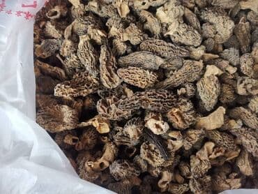 Грибы Платная доставка