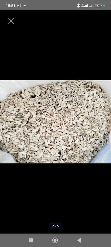 кленовый сироп бишкек: Есть 200 кг +-
Доставка есть Бишкек Кара Балта Сокулук Беловодск — 3