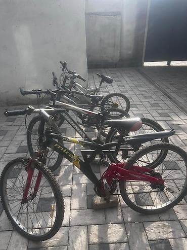 single speed: Горный велосипед, Сталь — 2