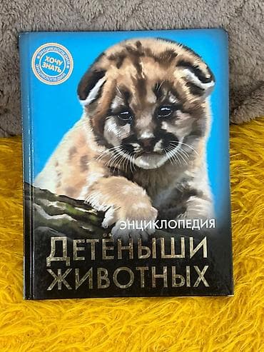 Велоаксессуары: Детёныши Животных:350.матем5класс — 1