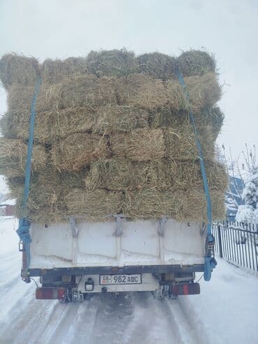 животные домашние: 1 укос чоп сатылат доставка 330 сом — 2