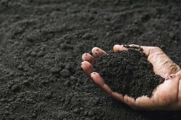 В тоннах, Бесплатная доставка, Зил