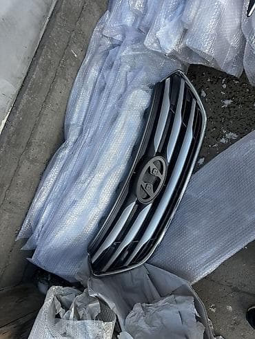 Зеркала: Решетка радиатора Hyundai 2017 г. — 1