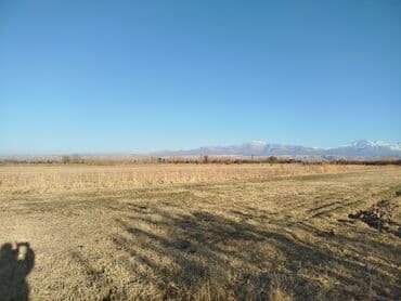 дома рабочий городок: 55 соток, Для сельского хозяйства — 1