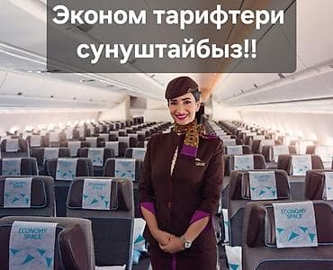 авиабилеты: Эконом-тарифы на авиаперелёты - Перелёты в салоне Economy с удобными — 1