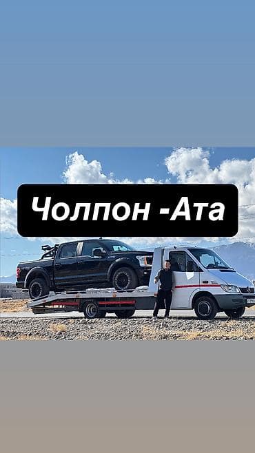 стрижка овец сокулук: С лебедкой, С манипулятором, Со сдвижной платформой — 1